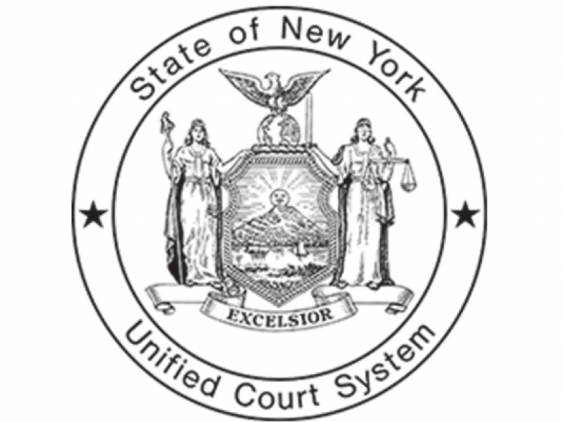 Report Navigator Snapshot Report (New York 2014) SRLN
